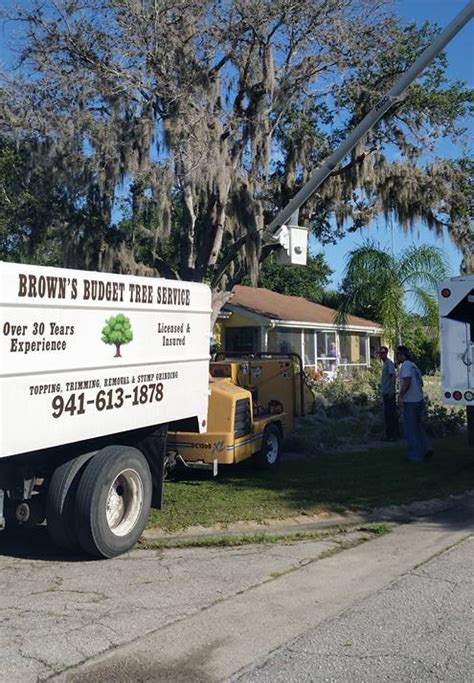 brown's tree service|brown's budget tree services.